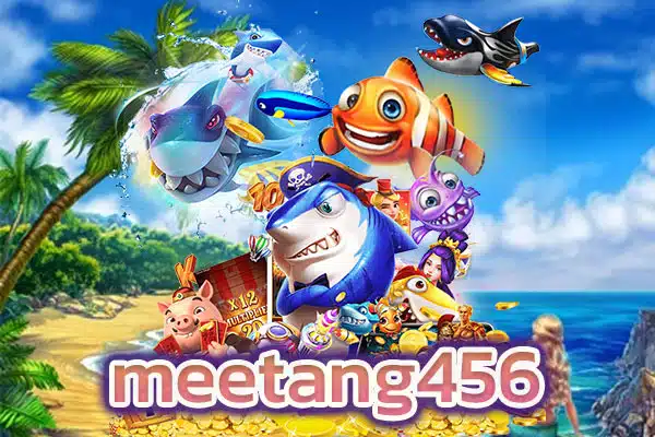 meetang456